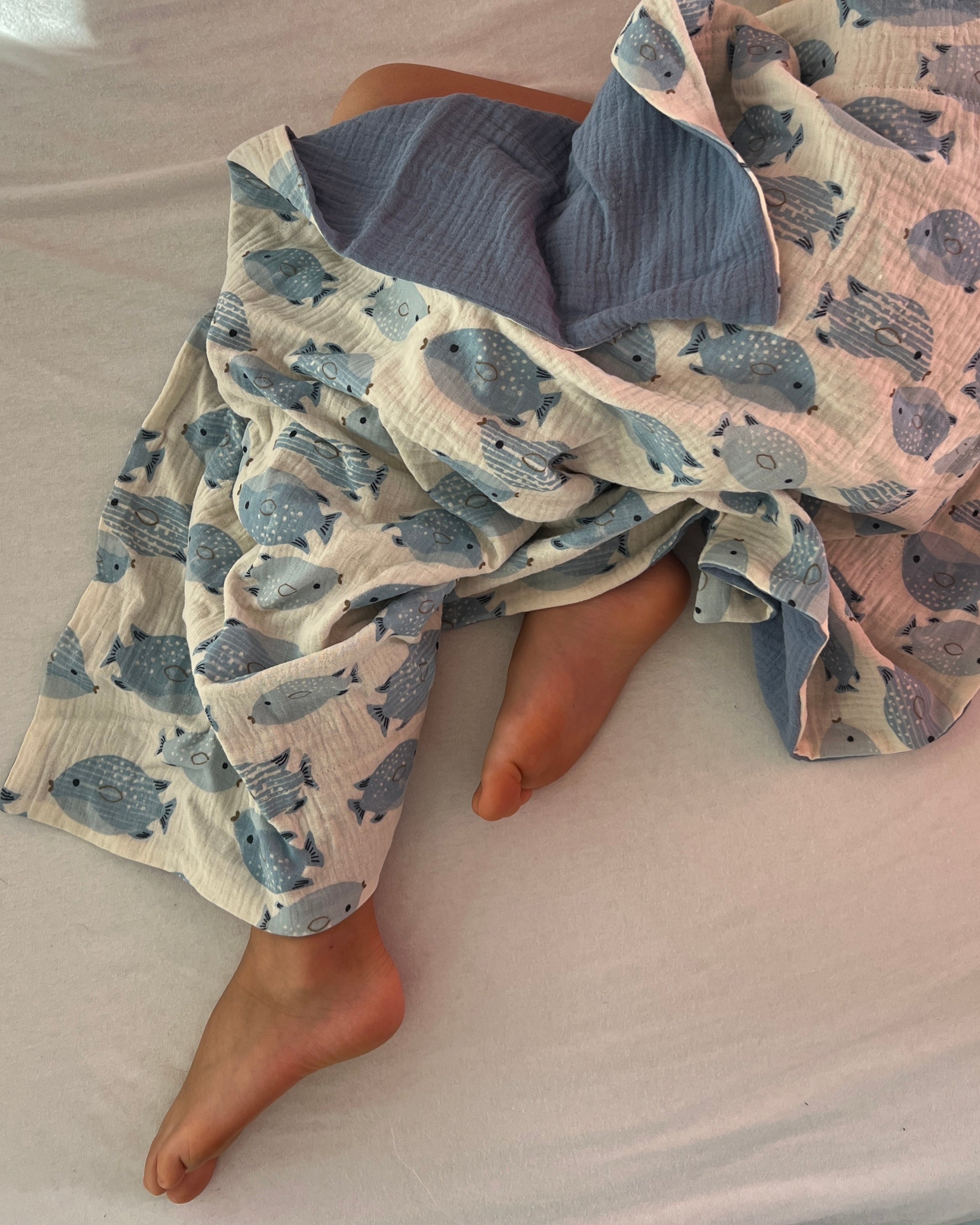 Musselin Decke 4-lagig aus Baumwolle, Oeko-Tex – Weiche Wendedecke, Sommerdecke Fisch Blau Blausberg Baby