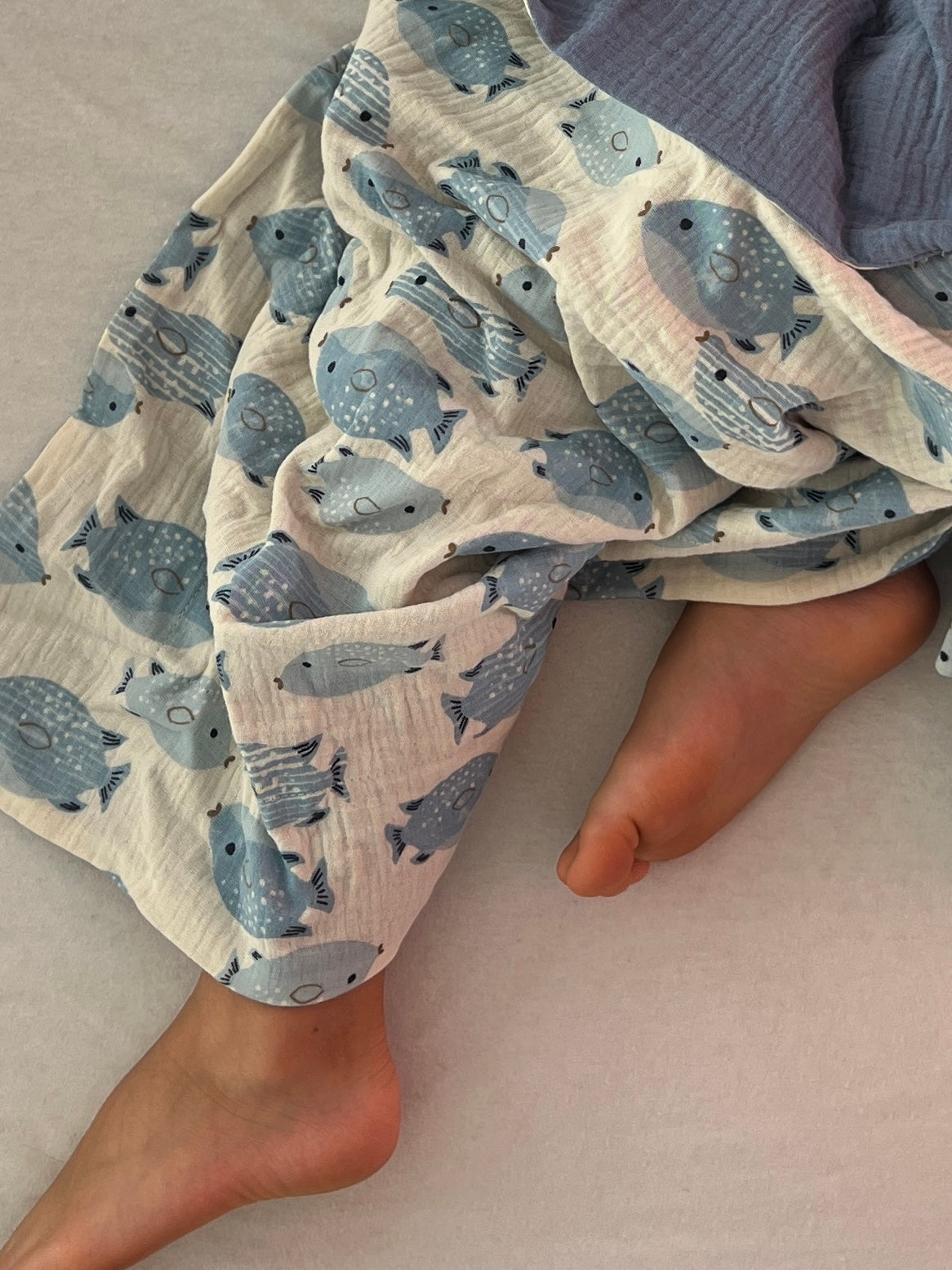Musselin Decke 4-lagig aus Baumwolle, Oeko-Tex – Weiche Wendedecke, Sommerdecke Fisch Blau Blausberg Baby